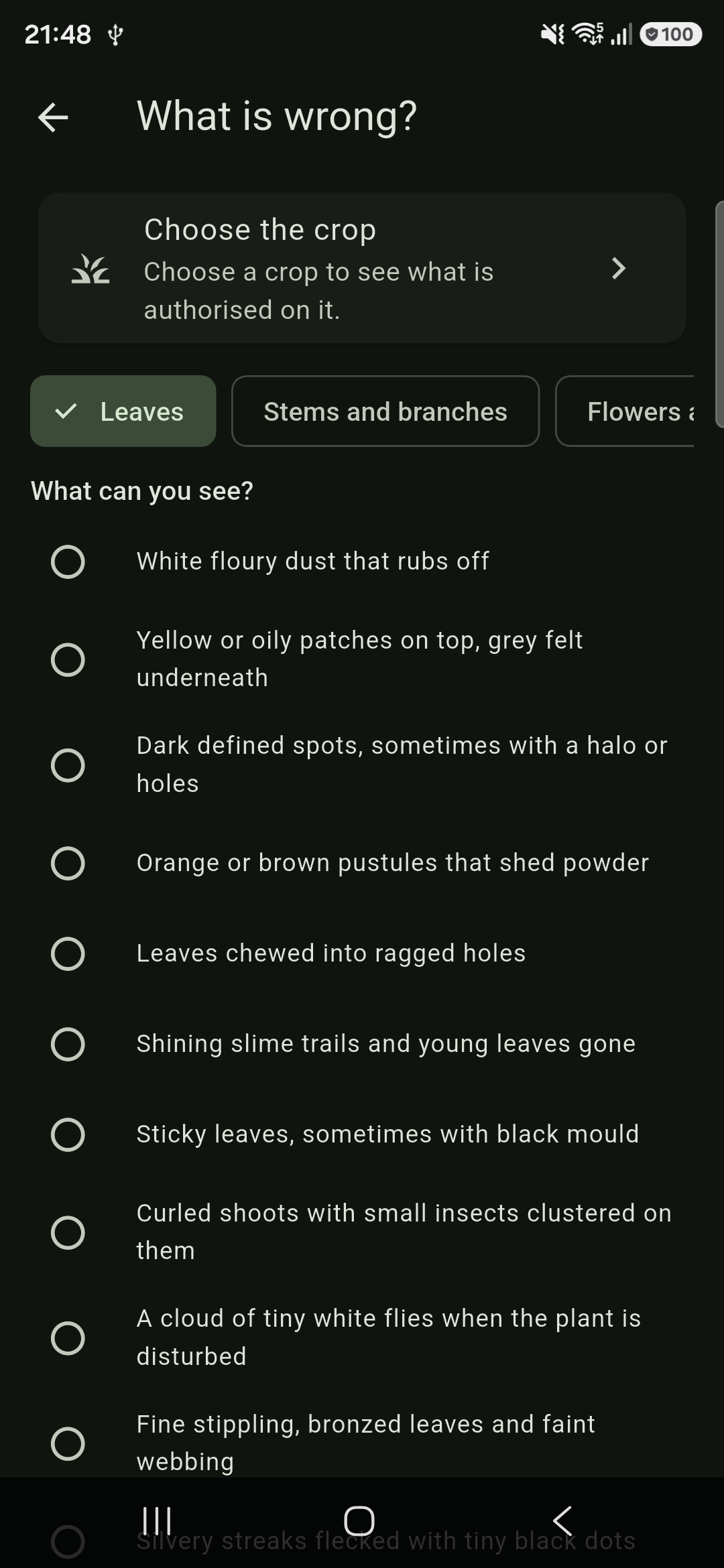 Describing what you can see on a plant, to narrow down the cause